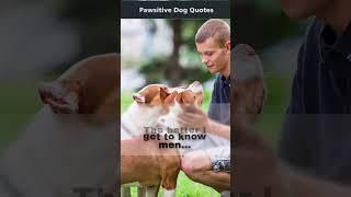 Pawsitive Dog Quotes | The Better I get to Know Men... #shorts