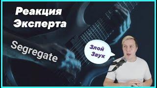 Музыкант смотрит | Segregate - Ложь