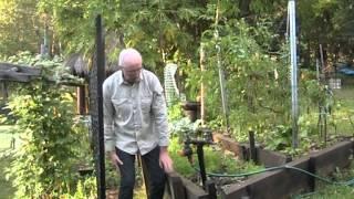 Organic garden design tips for sloping land