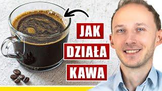 Regularne picie kawy: 15 efektów na zdrowie (dobrych i złych) | dr Bartek KRÓCEJ