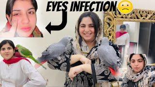 GHAR MEIN HUA EYES INFECTION|BIRDS KO SHOWER DILWA DIA|MAMA AUR MEERAB KI LARAI