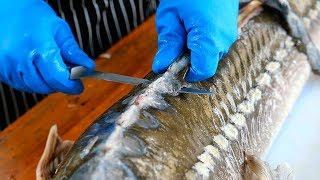 Thai Food - AMAZING STURGEON FISH PREPARATION Bangkok Thailand