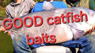 Best Catfish Baits: What's Actually Effective