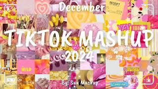 Tiktok Mashup December 2024 (Not Clean)