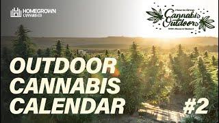 Outdoor Grow Calendar For Marijuana Plants: A Complete Guide | How to Grow Cannabis Outdoors EP2