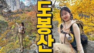 Maple Trip Enjoyed by Subway in Seoul  | Hiking in South Korea