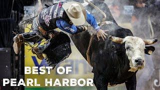 Best of PBR Bull Pearl Harbor | Remembering one of the Greats