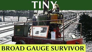 Tiny: Broad Gauge Survivor