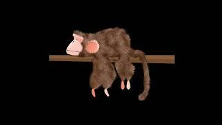 Animation of fur on a monkey