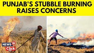 Delhi Pollution | Stubble Burning | Punjab's Stubble Burning Raises Concerns | English News | N18V