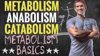 Metabolism, Anabolism and Catabolism