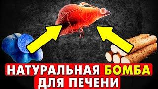 Природная БОБМА для очищения печени и сосудов: 5 мощнейших ингредиентов ингредиента!