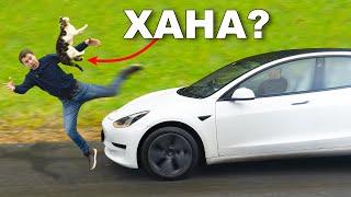 УБЬЁТ ли Tesla кошку?