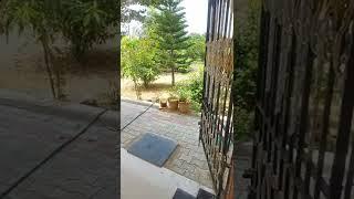 Ecr Farmhouse For sales in chennai||2 Acer with swimming pool