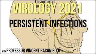 Virology Lectures 2021 #17 - Persistent Infections