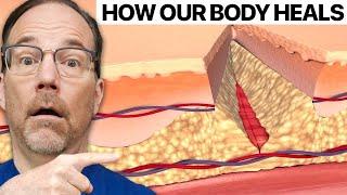 How Your Body Heals Cuts and Wounds to the Skin | Surgeon Reacts
