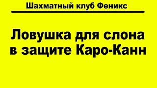 Очень быстрый выигрыш слона за белых в защите Каро-Канн. #шахматы