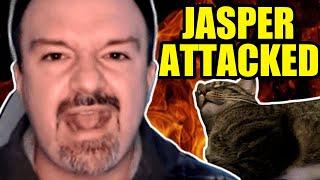 DSP ATTACKS His Cat Jasper LIVE ON STREAM (Caught in 4K)