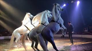 Circus Louis Knie 2019 - Promo Trailer