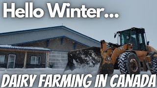 Winter Hit The Farm HARD... This Is How We Did