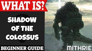 Shadow of the Colossus Introduction | What Is Series