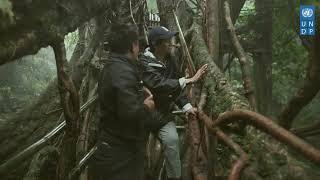 Visit to Living Root Bridges by UNDP Asia Pacific Regional Director, Kanni Wignaraja