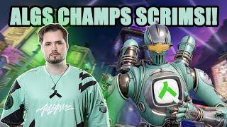 Alliance look ALGS Champs Ready in Scrims!!! | Hakis POV