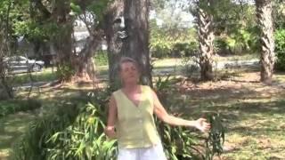 Tree Meditation with Will & Madeleine Tuttle