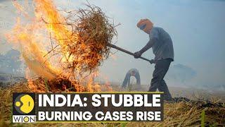 630 stubble burning cases in India's Punjab so far; farmers say they have 'no choice' | India News