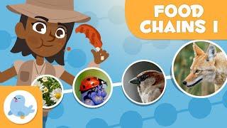 FOOD CHAINS for Kids ⬅⬅⬅ Trophic Levels  Episode 1