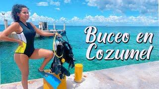 BUCEO en COZUMEL MEJORES lugares en el MUNDO para bucear Hotel y Buceo  DIVING I Brenda Catalán