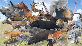 Terrestrial Animal Speed Comparison in 3D Animation | Realistic World Data