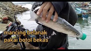 MANCING BELANAK PAKAI BOTOL , LANGSUNG DISERUDUG BABON