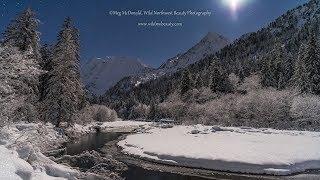 Into the Night: Pacific Northwest Starry Skies and Moonlight (4K Time Lapse)