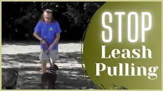 Stop Leash Pulling in 5 MINUTES