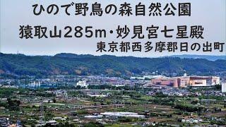 ゆるゆるハイキング猿取山285m(ひので野鳥の森自然公園)東京都西多摩郡日の出町  2021/2/28