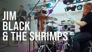 Jim Black & The Shrimps - live @ Festungsturm | JAZZWERKSTATT PEITZ