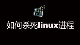 杀死linux进程的几种方法 | How to kill process?