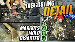 Most Disgusting Maggot Filled Car I've Ever Cleaned | Car Detailing Restoration