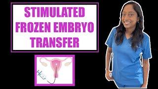 STIMULATED FROZEN EMBRYO TRANSFER CYCLE