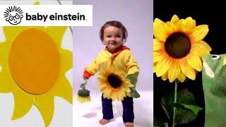 World of Words | Baby Einstein Classics | Learning Show for Toddlers | Kids Cartoons