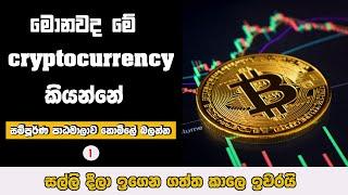 what is cryptocurrency Sinhala  Crypto Sinhala