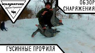 Гусинные профиля. Серый гусь.