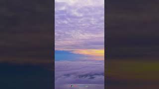 Утренний туман #аэросъемка #природа  #лето