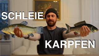 Aquaponik-Fische: Karpfen und Schleien statt Tilapia!