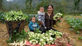 Harvest vegetables and green onions in the garden to sell and buy ducklings at the market