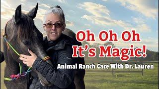 Animal Ranch Care, Dr Lauren Baker Visits The Farm