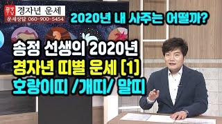 2020년 경자년 띠별&나이별 운세[호랑이띠,말띠,개띠] 1탄 [점방TV_송정]