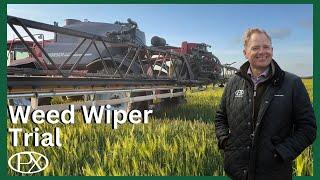 Weed Wiper Trial: Sprayer Mishaps & Open Day Prep at P.X Farms!