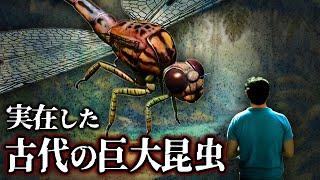 【ゆっくり解説】古代の虫が怖すぎる！超巨大な昆虫６選